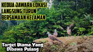 KEDUA JAWARA/PENGUASA LOKASI LANGSUNG TURUN KELAMAAN BERSAMAAN KETIKA PIKAT KITA PASANG