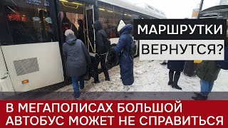 Маршрутки могут вернуться в Петербург - мнение