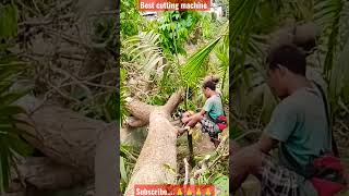 Funny tree cutting fails, Tree Cutting Fail, Fails, Speed kills #shorts #kill #guide #like #best