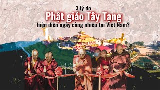 Ba lý do khiến Phật giáo Tây Tạng hiện diện ngày càng nhiều tại Việt Nam?