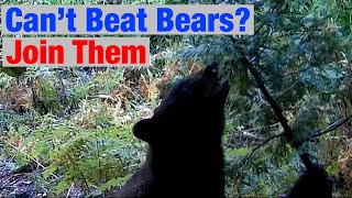 Learning Life Lessons From Bears