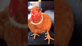 🙈OMG WHAT 😂SHE IS SO PRETTY 🤣🤣 #funnyvideo #shorts #chicken #kfc #kfcchicken #amazing #wtf #pretty