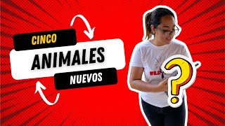 Me REGALARON 5 ANIMALES impresionantes⁉️🤯  y nacimientos de GECKOS LEOPARDO 🦎🔥