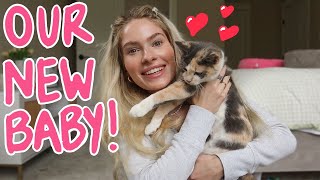 we adopted a kitten! VLOG