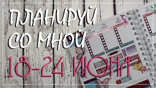 Мой ежедневник: планируй со мной 19 ('18) / Plan with me 19