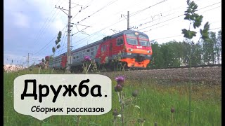 Рассказ о дружбе на всю жизнь 🌹 Рассказчик историй, слушать аудиокниги