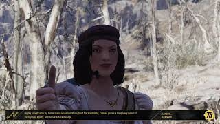 I broke Fallout 76 and I don't know how I did it