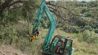 Removing Invasive Olive Trees To Give Space For The Original Vegetation - TMK Australia / Tree Shear