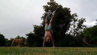 ~5m Handstand walk attempt, thankful