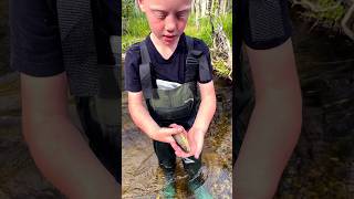 Boy meets Brown trout !! Fishing the Trout stream! #fishing #trout #stream #fun @MindlessBuilders