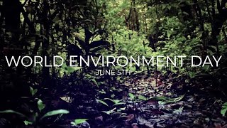 WORLD ENIVIRONMENT DAY 2020 | Time for Nature |Love Nature |June 5th 2020 |