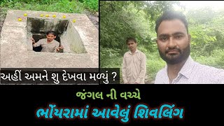 ચોમાસામાં પાવાગઢ નું જંગલ વધારે ભયાનક અને બિહામણું લાગે છે ! ડરના મના હૈ! આજે ટપલાવાવ ના જંગલમાં ગયા