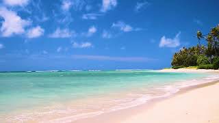 Sleep Instantly with Soft Ocean Waves in Sunny Tropical Paradise Sounds for Sleeping