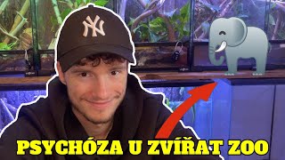 ZVÍŘATA = LIDI VE FABRICE?