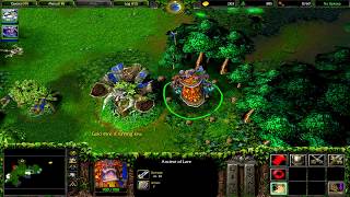 Warcraft 3 Reign Of Chaos Night Elf Campaign Eternity's End Miss 4 The Druids Arise