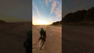 Is this the Best travel Camera? Sunrise Camel Ride-South Sinai💯