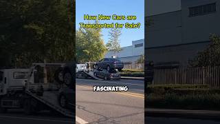 How New Cars are Transported for Sale? 🤣 #car #shorts #shortvideo