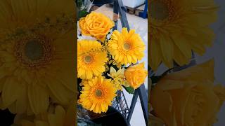 yellow flowers bucket