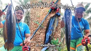 #catchwithseahawk - Haruan Hunting with Mubin Saat