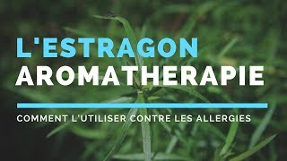 Propriétés de l'huile essentielle d'estragon