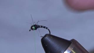 How To Tie A Hot Collar Zebra Midge