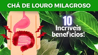 Chá de louro milagroso - cura natural na cozinha da sua casa !