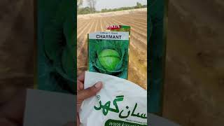 Farmer ka review check karein ! Kisan Ghar www.kissanghar.pk free delivery 🚚