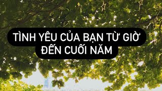 TÌNH YÊU CỦA BẠN TỪ GIỜ ĐẾN CUỐI NĂM SẼ THẾ NÀO