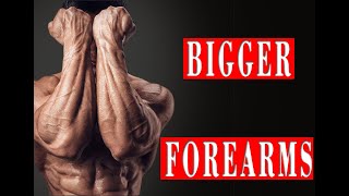 How to get bigger forearms