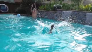 Our toy poodle launching into the pool in slo-mo