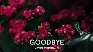 vivadi - goodbye