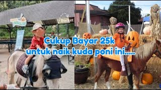 CUKUP BAYAR 25K KAMU BISA MENUNGGANG KUDA PONI DI SINI ASYIKK BANGETT