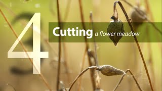 Step 4. Cutting your flower meadow