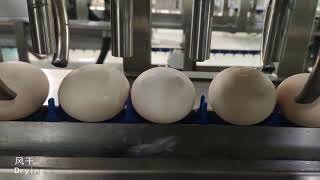 2,000 eggs per hour Egg Candling Cleaning Collecting Line