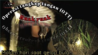 berburu ruak ruak malam hari | langsung nyamperin