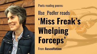 Ilse Pedler reads 'Miss Freak's Whelping Forceps' from Auscultation