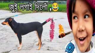 Little girl comedy video // হাঁহি হাঁহি পেট বিখাই যাব //comedy video 😂