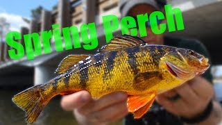 Cold Water Spring PERCH Fishing [2018]