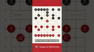 Xiangqi basics: What is a tempo?