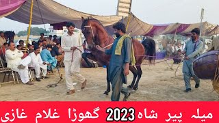 Ghulam a ghazi | horse dance dhamal mela peer shah