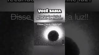 Você sabia?