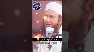 Allah Ko Pa Liya To Sab Kuch Pa Liya😍 | Islamic WhatsApp Status #molanatariqjameel #shortsvideo