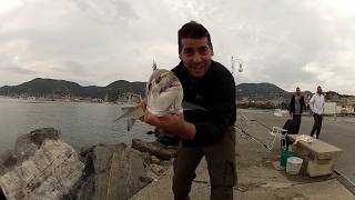 Pesca a fondo, Orate al Molo Italia di La Spezia... bella pescata questa