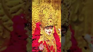 jay meldi maa #status #short #video