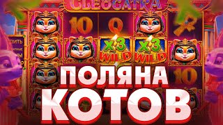 Закрыл ОГРОМНУЮ ПОЛЯНУ ТОПОВЫХ КОТОВ ПО СТАВКЕ 200Р В CLEOCATRA/ СЛОВИЛ ОГРОМНУЮ ПОЛЯНУ WILD