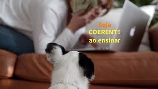 Dica pet: MANTENHA-SE COERENTE PARA ENSINAR O PET