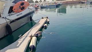 Яахта Кемага учиш 🌊 Жидда