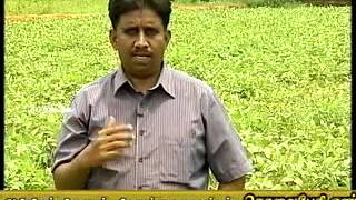 Pon Vilaiyum Bhoomi 19/11/2013