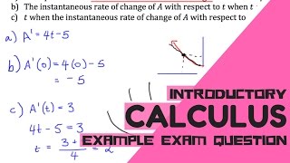 Introductory Calculus Question (Example)