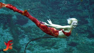 Real Life  Unbelievable Footage Of Mysterious Mermaids discovered Mermaid Sightings On Camera